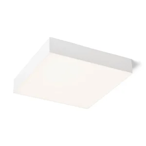 LARISA SQ 30 KATTO